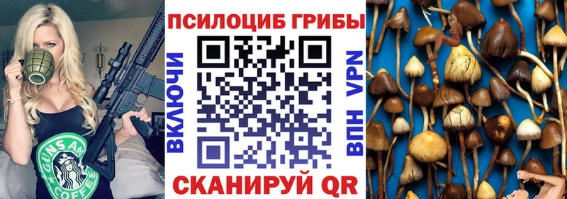 Псилоцибиновые грибы GOLDEN TEACHER Алдан